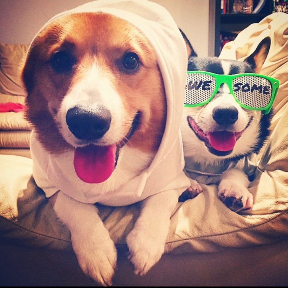 Meet your Posher, Natasha